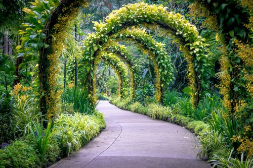 باغ‌ های گیا‌ه شناسی سنگاپور | Singapore Botanic Gardens