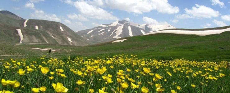 کوه سهند