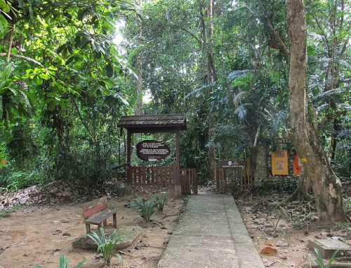 پارک ملی تامان نگارا پائولو پنانگ (Taman Negara Pulau)