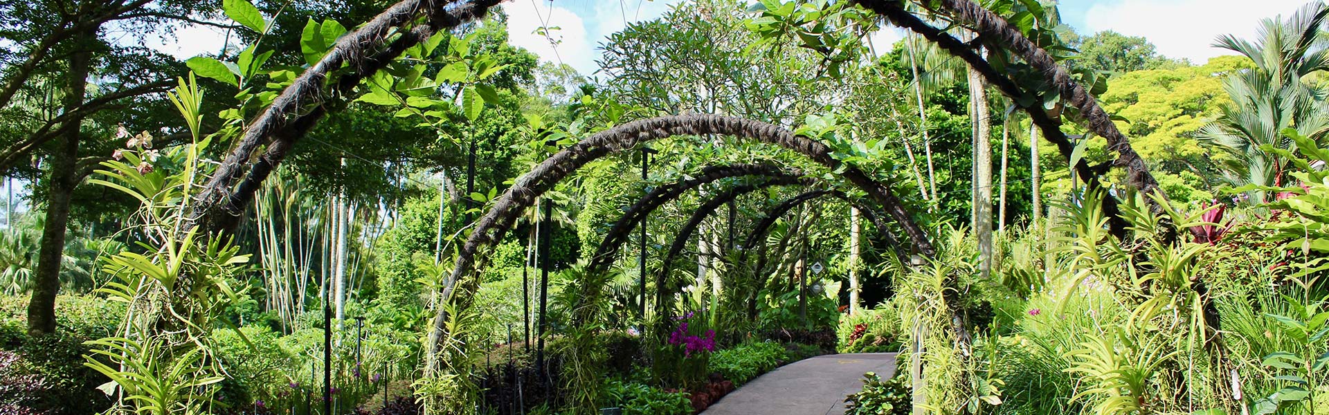 باغ‌ های گیا‌ه شناسی سنگاپور | Singapore Botanic Gardens