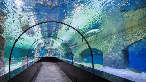 آکواریوم آکوا وگا آنکارا | Aqua Vega Aquarium